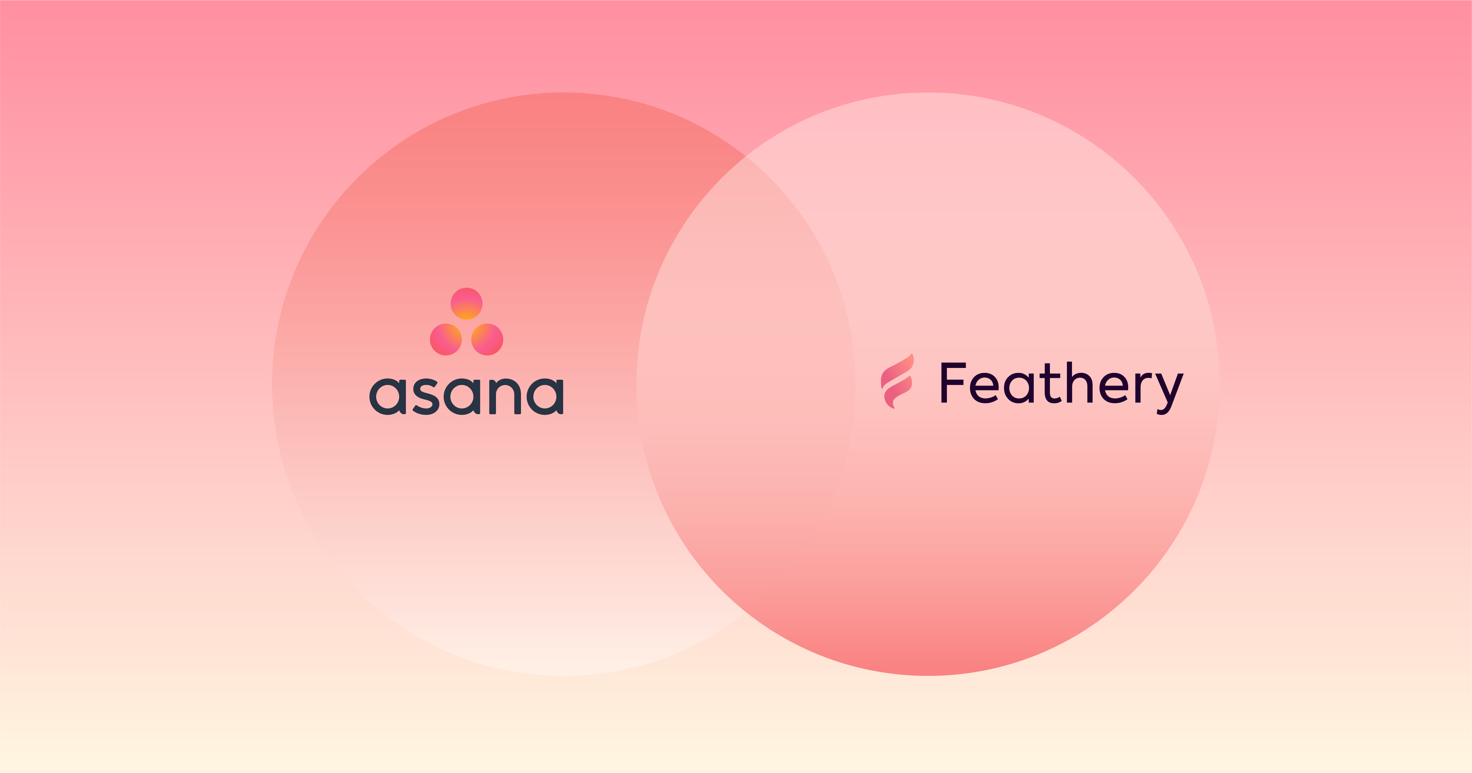 Mastering Task Management InDepth Guide to Asana Forms